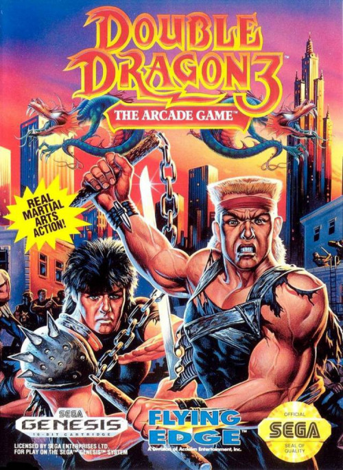 (image for) Double Dragon 3: The Arcade Game